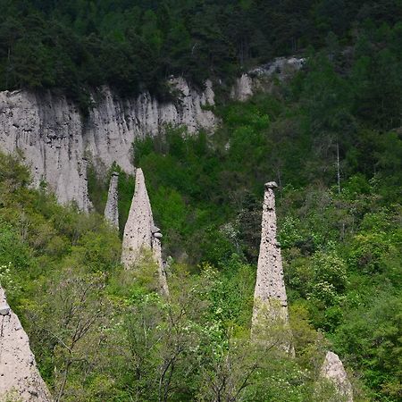 Agritur All'Olivo Faver Εξωτερικό φωτογραφία