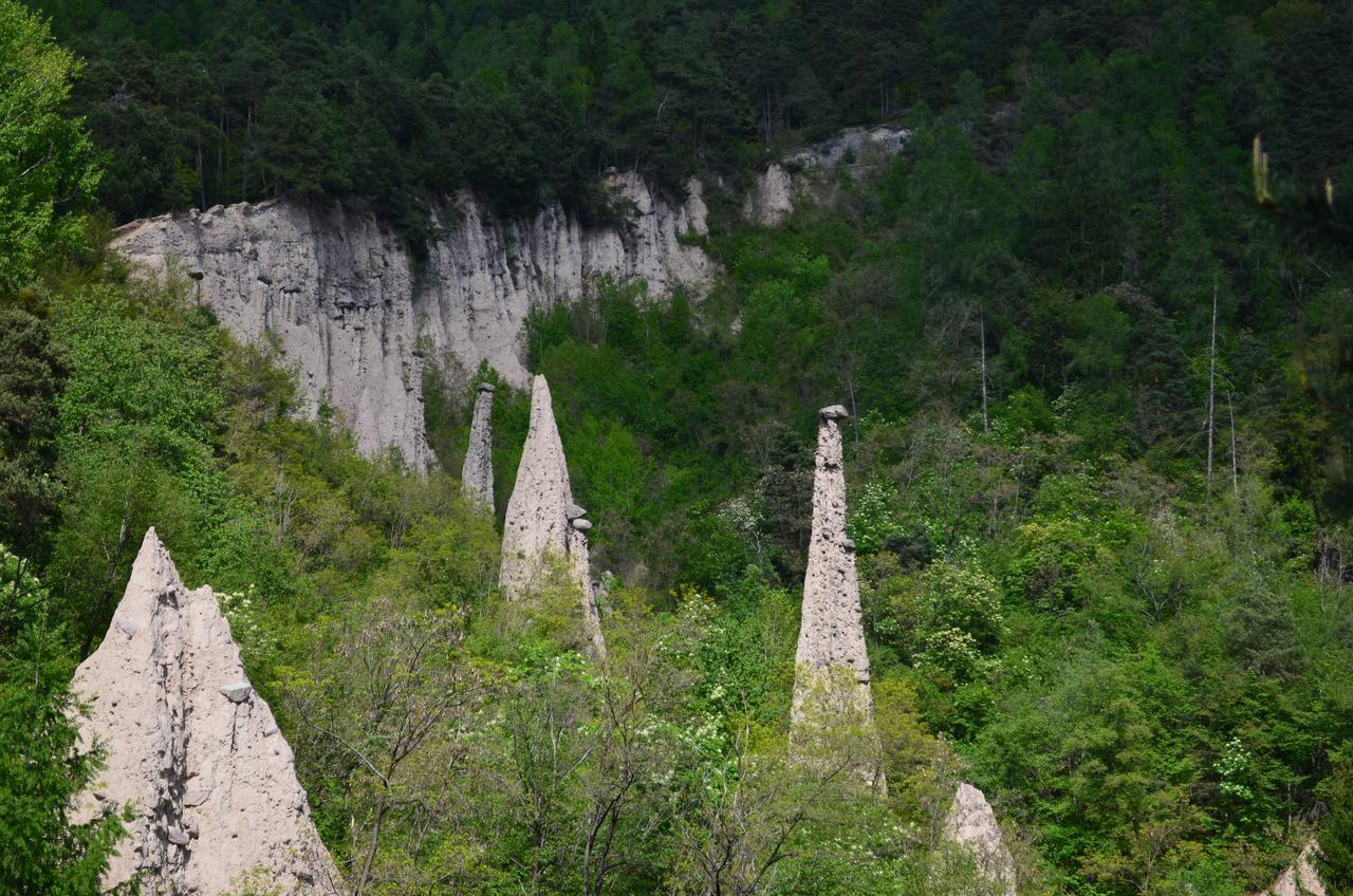 Agritur All'Olivo Faver Εξωτερικό φωτογραφία